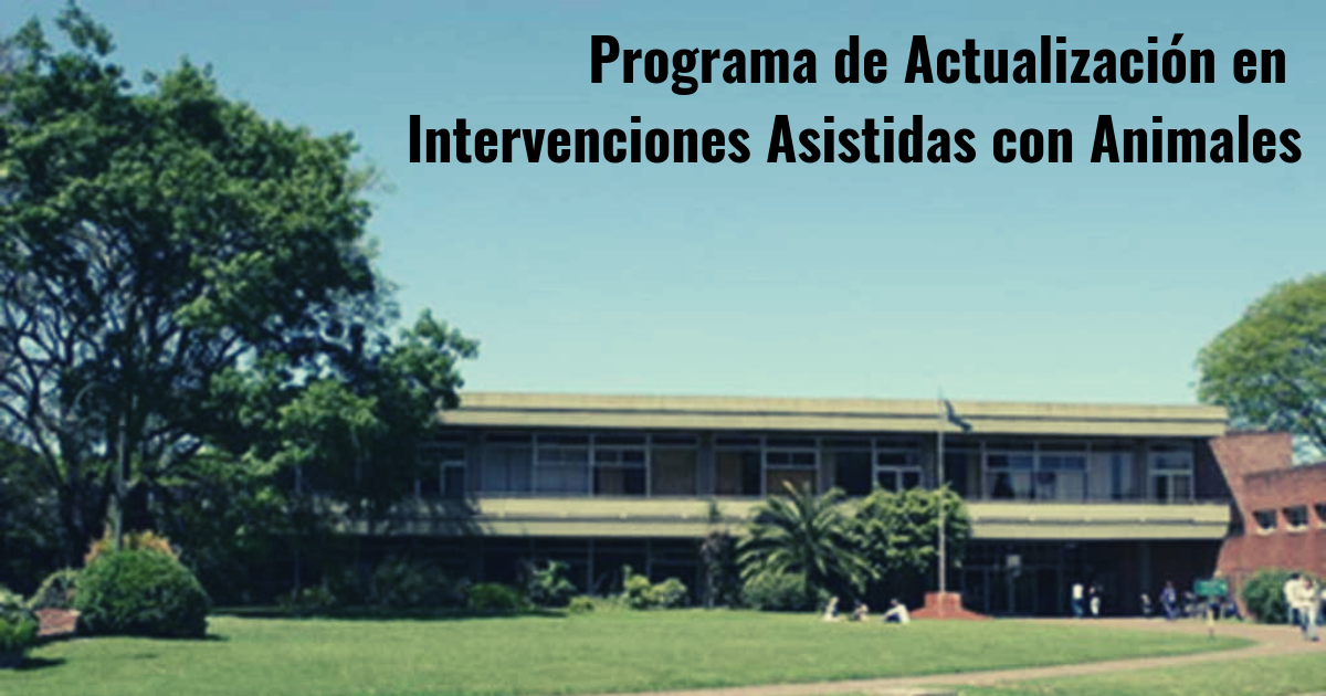 Programa de Actualización en Intervenciones Asistidas con Animales