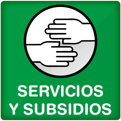Servicios y subsidios