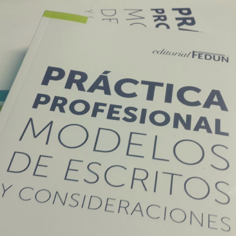 Práctica Profesional, Modelos de escritos y consideraciones.